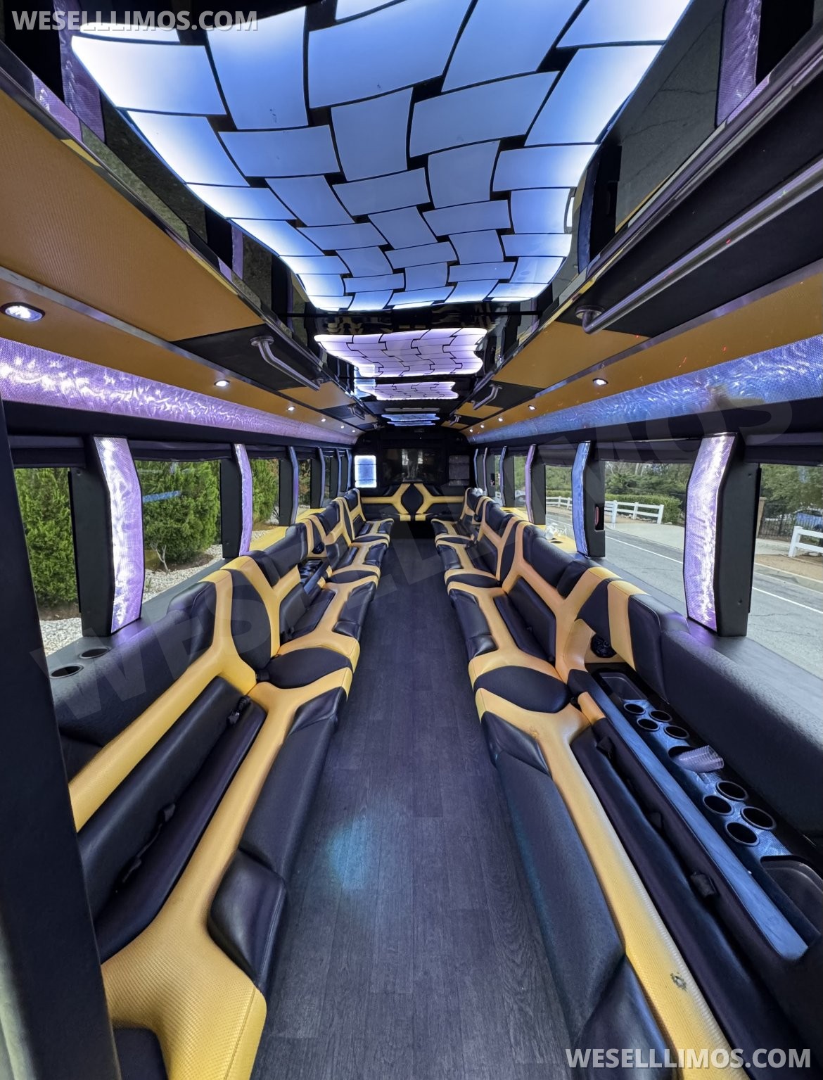 Photo of Limo Bus for sale: 2015 Freightliner M2 38&quot; by Pinnacle