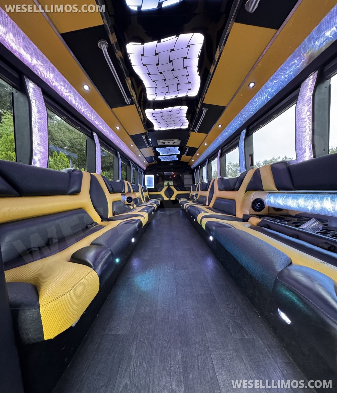 Photo of Limo Bus for sale: 2015 Freightliner M2 38&quot; by Pinnacle