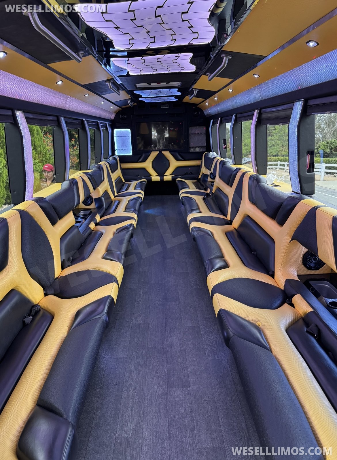 Photo of Limo Bus for sale: 2015 Freightliner M2 38&quot; by Pinnacle