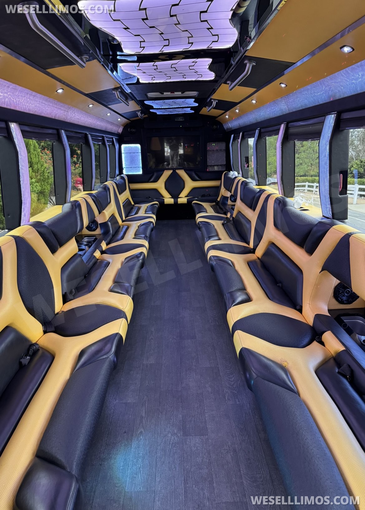Photo of Limo Bus for sale: 2015 Freightliner M2 38&quot; by Pinnacle