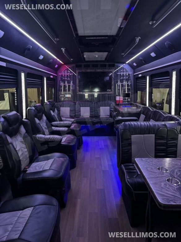 2017 Ford E450 Party Bus - 14 passenger Limo Bus for Sale in Fall River, MA - Photo 2