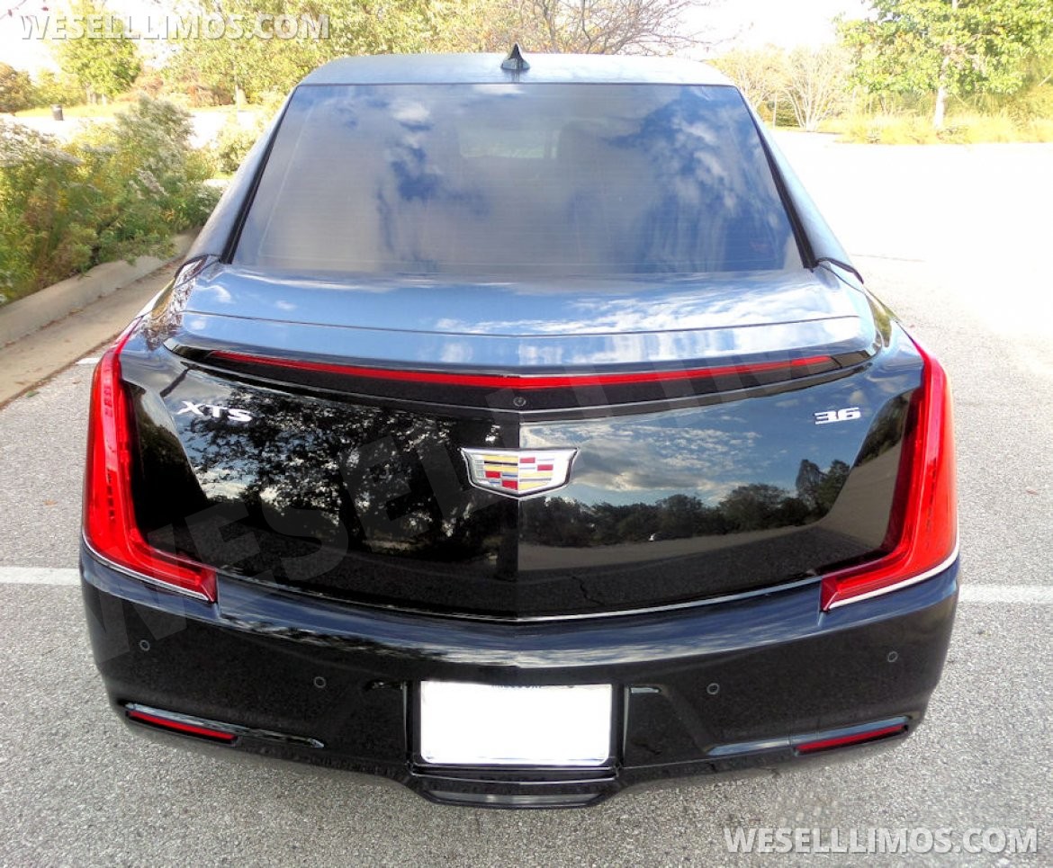 Photo of Limousine for sale: 2019 Cadillac XTS by Superior