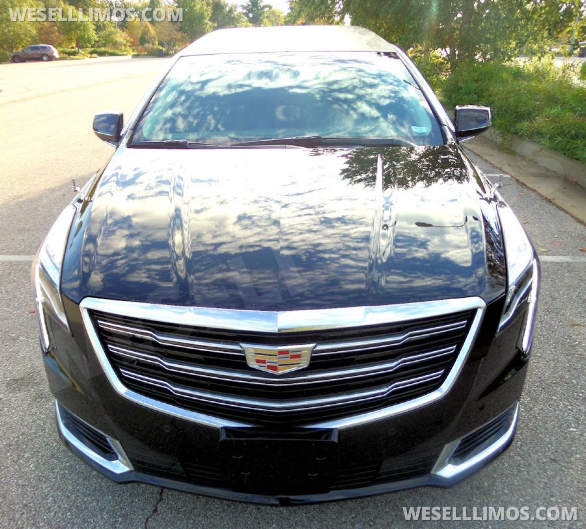 Photo of Limousine for sale: 2019 Cadillac XTS by Superior
