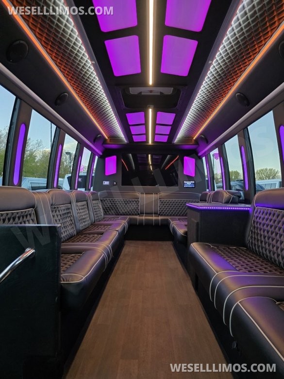 2014 Ford E450 Limo Bus for Sale in Erie, PA - Photo 2