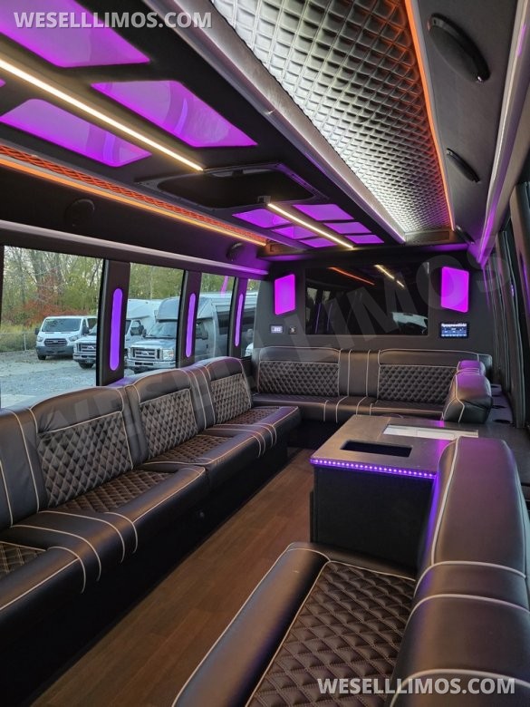 2014 Ford E450 Limo Bus for Sale in Erie, PA - Photo 3