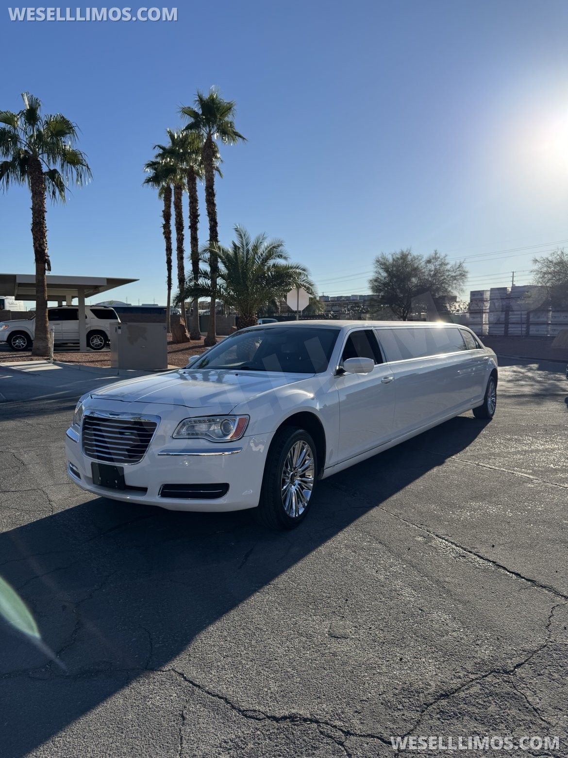 Photo of Limousine for sale: 2014 Chrysler 300 120&quot; by Executive Coach Builder