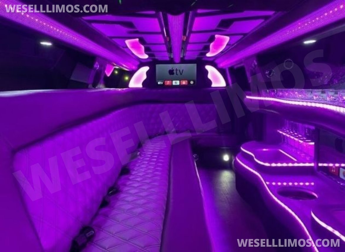 Photo of Limousine for sale: 2023 Chrysler 300L •Custom Designed• White Tuxedo 12-Passenger by Moonlight