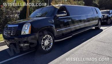 2009 Cadillac Cadillac Escalade Limousine - Limousine for Sale in LA, CA - Photo 1