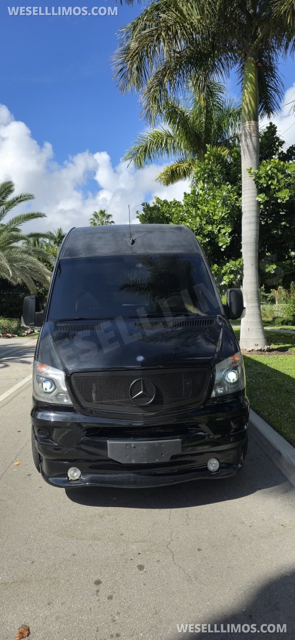 2016 Mercedes-Benz Sprinter Sprinter for Sale in Miami, FL - Photo 2