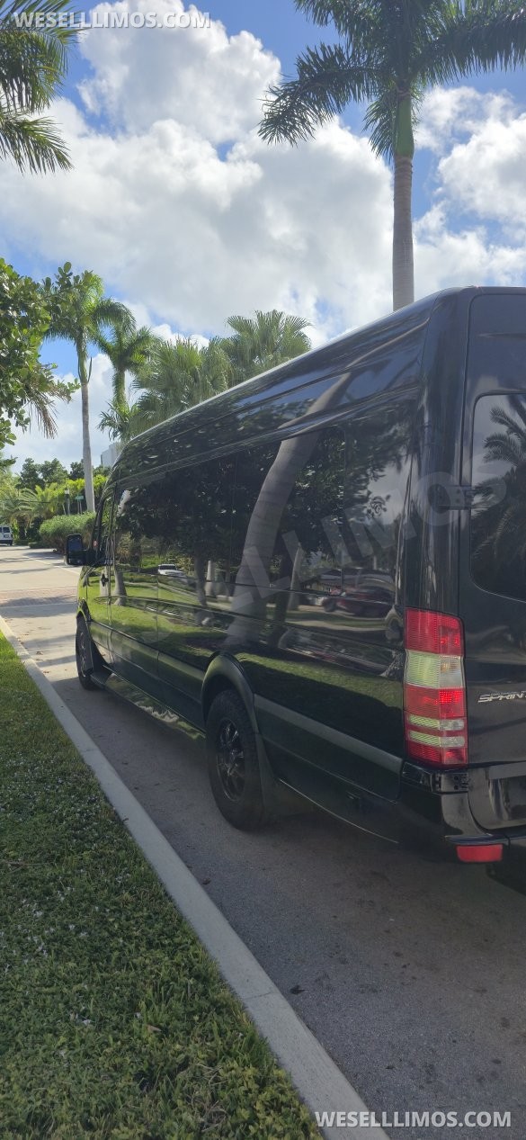 2016 Mercedes-Benz Sprinter Sprinter for Sale in Miami, FL - Photo 3