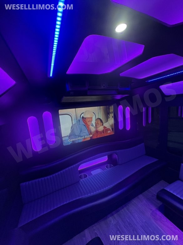 2017 Ford F-450 Limo Bus for Sale in Fraser, MI - Photo 3