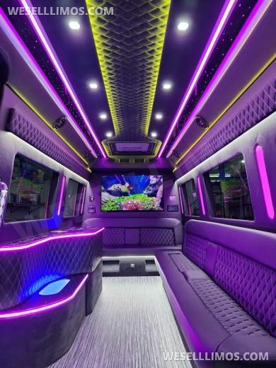 2023 Global Motor Coach Mercedes-Benz Sprinter Limousine Like New