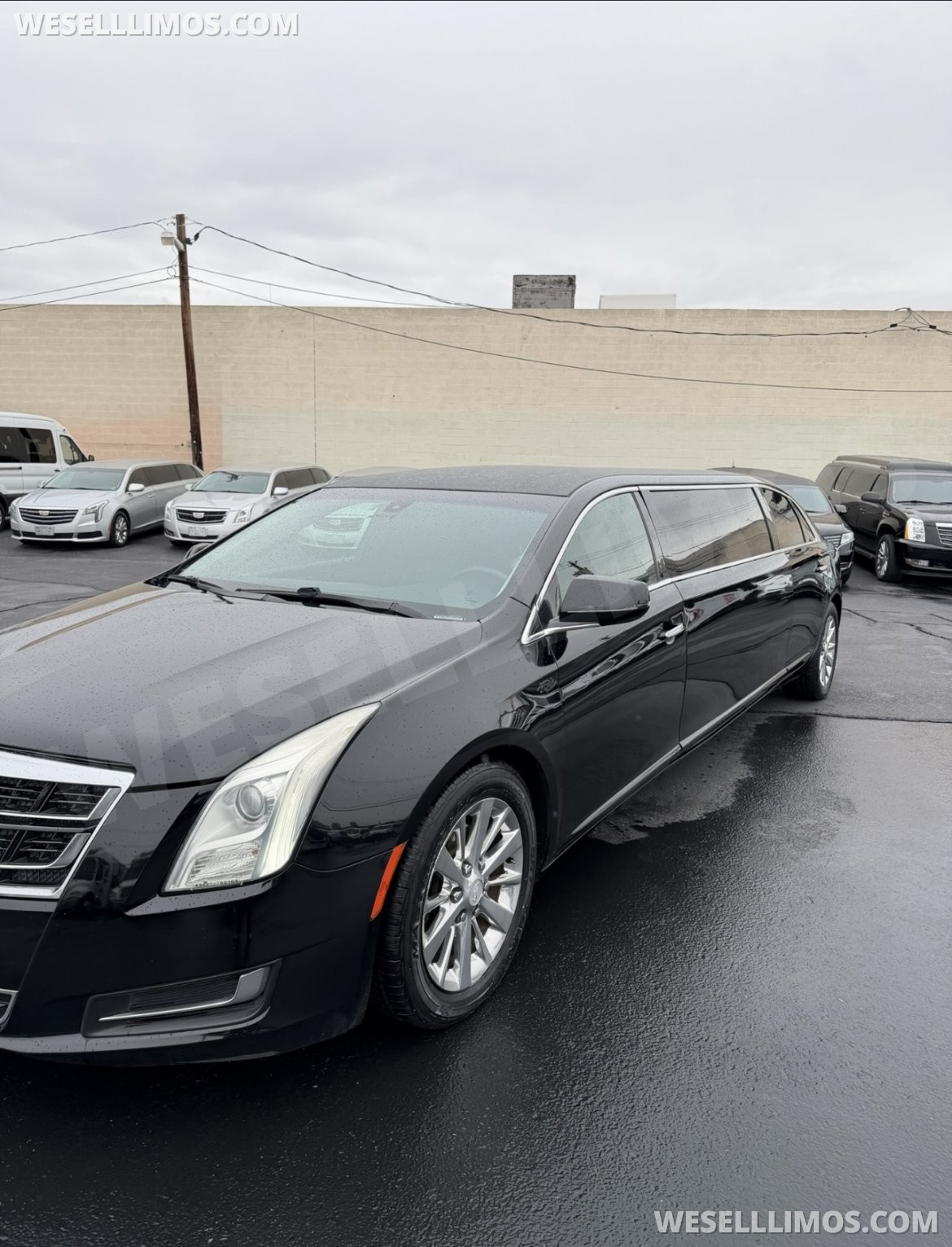 Photo of Limousine for sale: 2016 Cadillac XTS by Royal Coach Builder