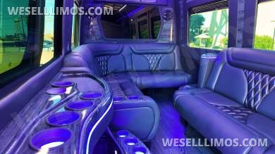 2025 Grech Motors Sprinter Limo