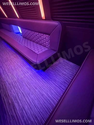 2026 LGE Coachworks Ford E450 Limo Bus/Party 25 passengers W/ Air Ride - Limo Bus for Sale in North East, PA - Photo 10