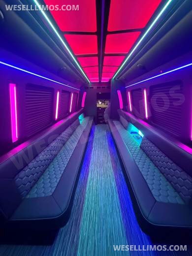 2026 LGE Coachworks Ford E450 Limo Bus/Party 25 passengers W/ Air Ride - Limo Bus for Sale in North East, PA - Photo 12