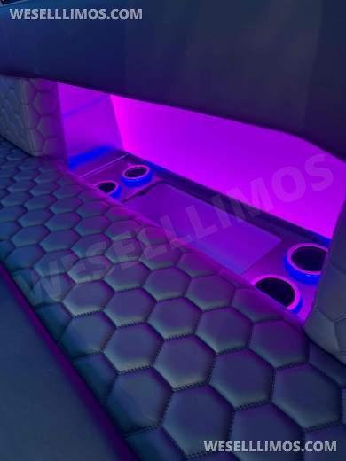 2026 LGE Coachworks Ford E450 Limo Bus/Party Bus 23 passengers W/ Air Ride - Limo Bus for Sale in North East, Pennsylvania, United States - Photo 10