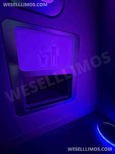 2026 LGE Coachworks Ford E450 Limo Bus/Party Bus 23 passengers W/ Air Ride - Limo Bus for Sale in North East, Pennsylvania, United States - Photo 21