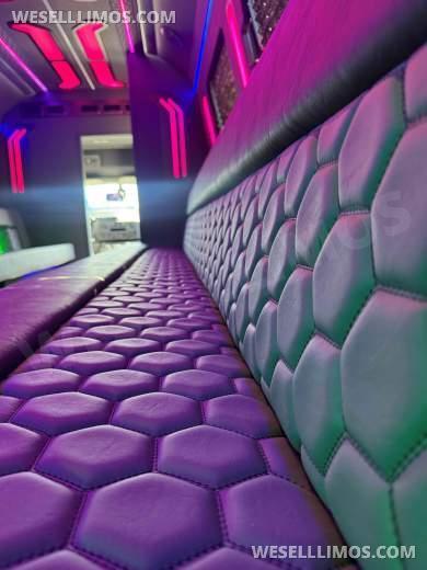 2026 LGE Coachworks Ford E450 Limo Bus/Party Bus 23 passengers W/ Air Ride - Limo Bus for Sale in North East, Pennsylvania, United States - Photo 24