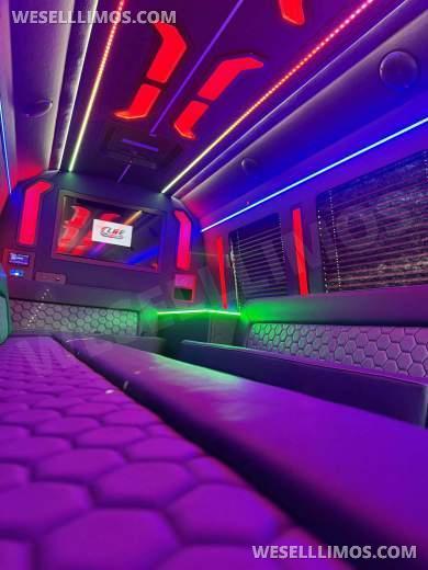 2026 LGE Coachworks Ford E450 Limo Bus/Party Bus 23 passengers W/ Air Ride - Limo Bus for Sale in North East, Pennsylvania, United States - Photo 25