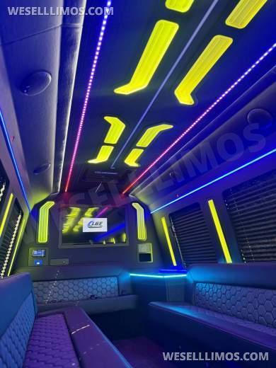 2026 LGE Coachworks Ford E450 Limo Bus/Party Bus 23 passengers W/ Air Ride - Limo Bus for Sale in North East, Pennsylvania, United States - Photo 27