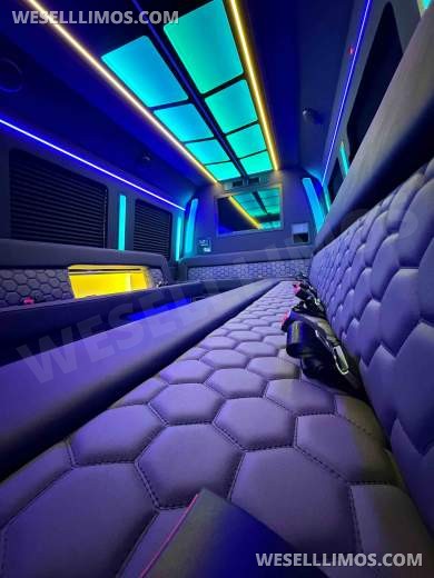 2026 LGE Coachworks Ford E450 Limo Bus/Party 25 passengers W/ Air Ride - Limo Bus for Sale in North East, PA - Photo 1