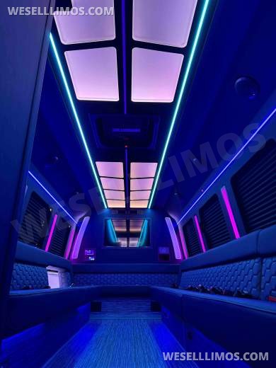 2026 LGE Coachworks Ford E450 Limo Bus/Party 25 passengers W/ Air Ride - Limo Bus for Sale in North East, PA - Photo 4