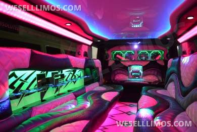 2007 Exotic Coach Hummer H2 Limousine - Limousine for Sale in Elk Grove Village, IL - Photo 9