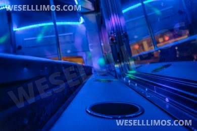 2009 Chevrolet E-450 Party Bus - Limo Bus for Sale in Birmingham, AL - Photo 18