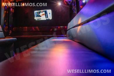 2009 Chevrolet E-450 Party Bus - Limo Bus for Sale in Birmingham, AL - Photo 17