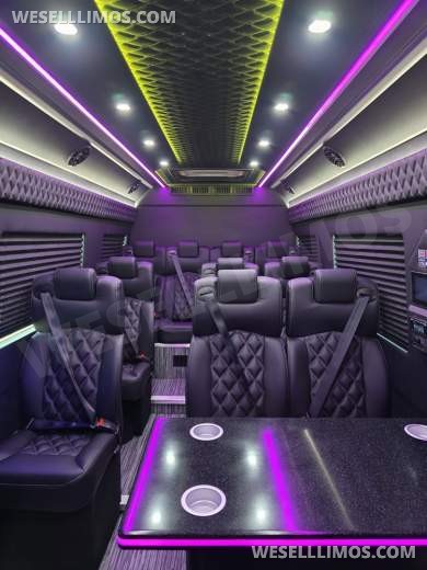 2026 Global Motor Coach Mercedes-Benz Sprinter Executive Shuttle