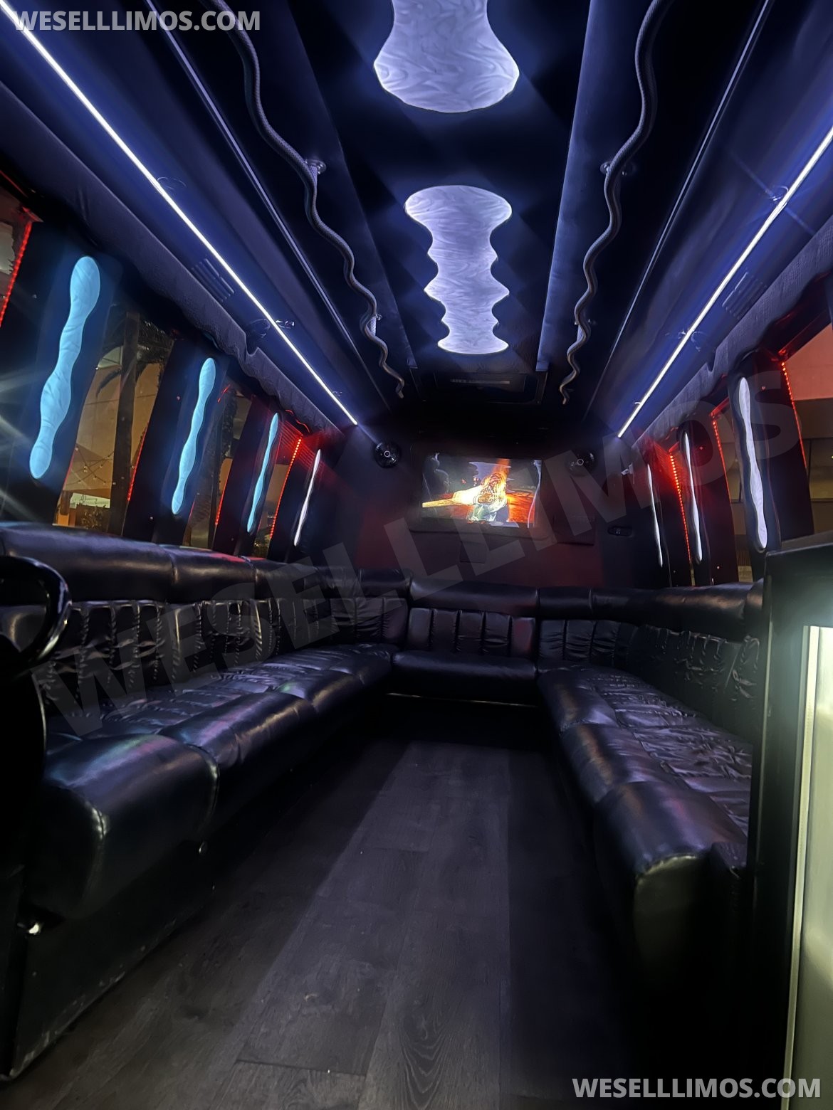 Photo of Limo Bus for sale: 2013 Ford E450 24" by Federal Coach