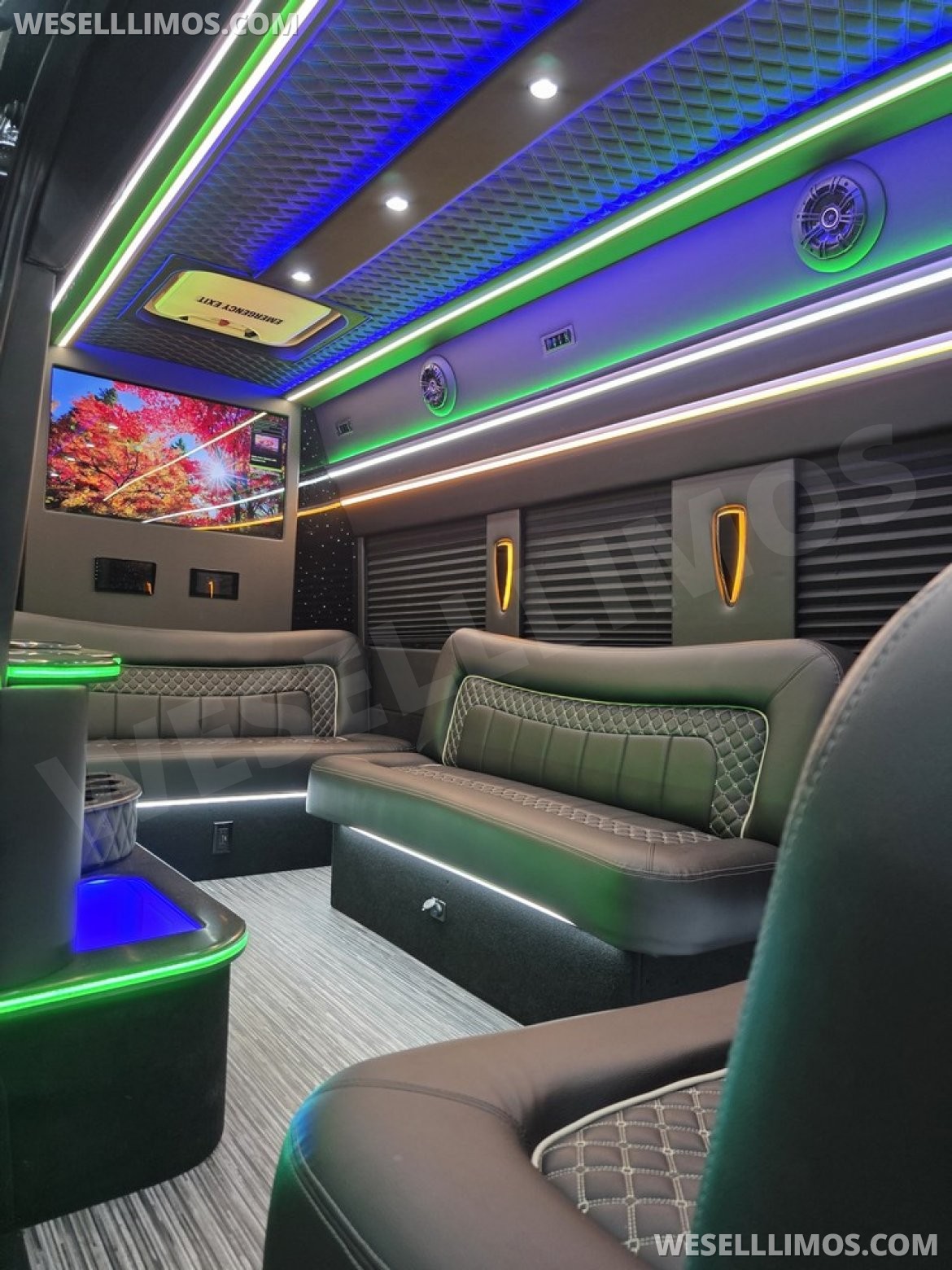 Photo of Limo Bus for sale: 2023 Ford Transit 350 Dual Rear Wheels by Global Motor Coach