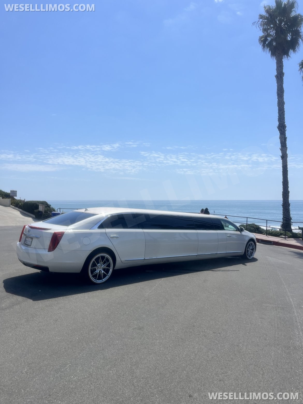 Photo of Limousine for sale: 2014 Cadillac XTS 140"