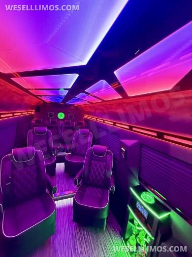 2026 Mercedes-Benz Sprinter Executive Shuttle - Executive Shuttle for Sale in Springfield, MO - Photo 6