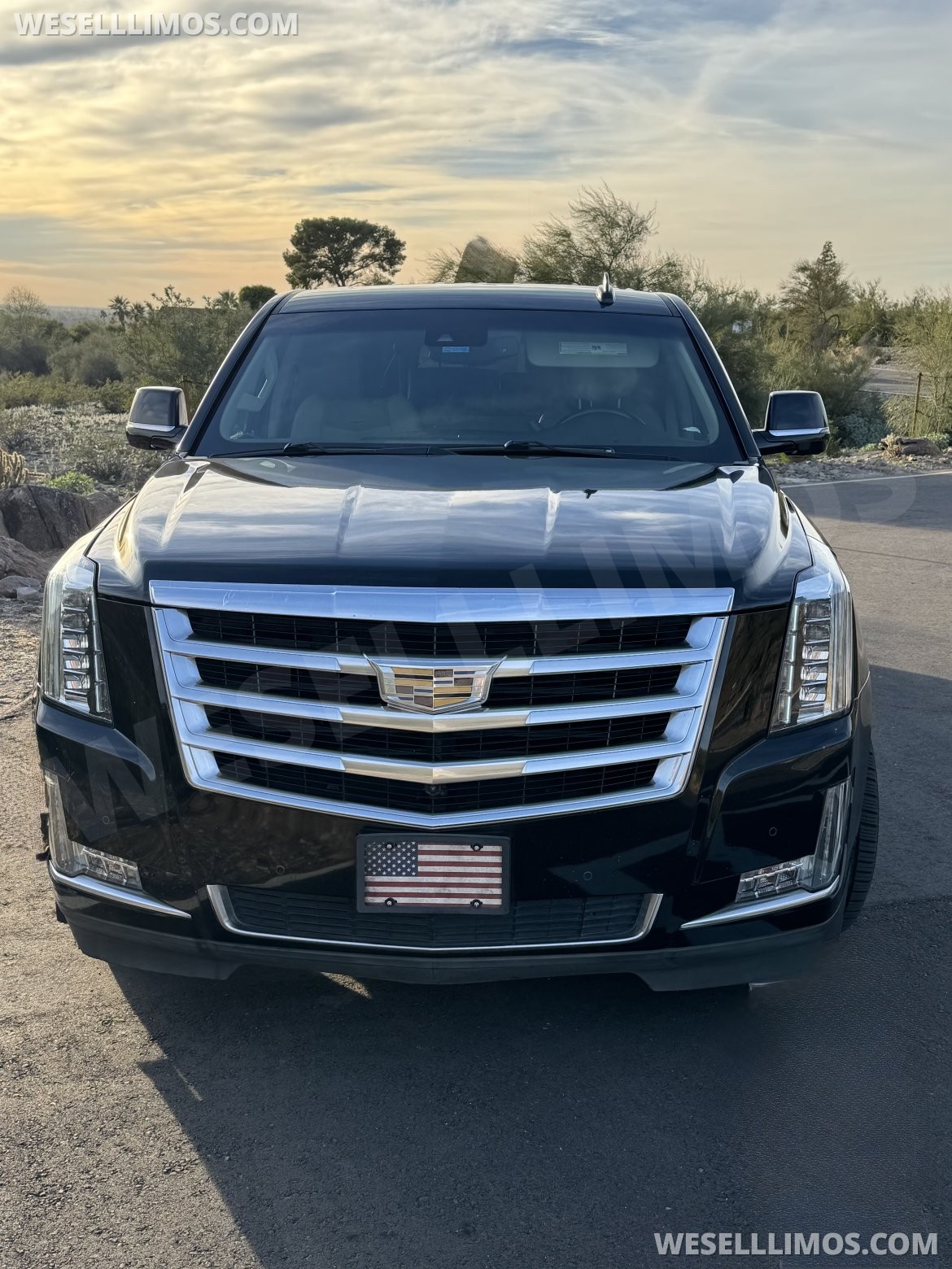 Photo of SUV Stretch for sale: 2016 Cadillac Cadillac Escalade ESV 40" by LCW