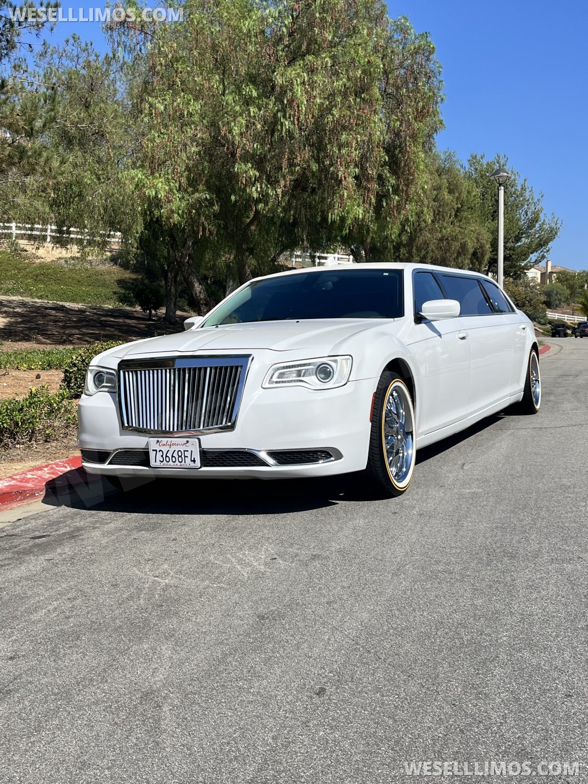 Limousine for sale: 2019 Chrysler 300 75"