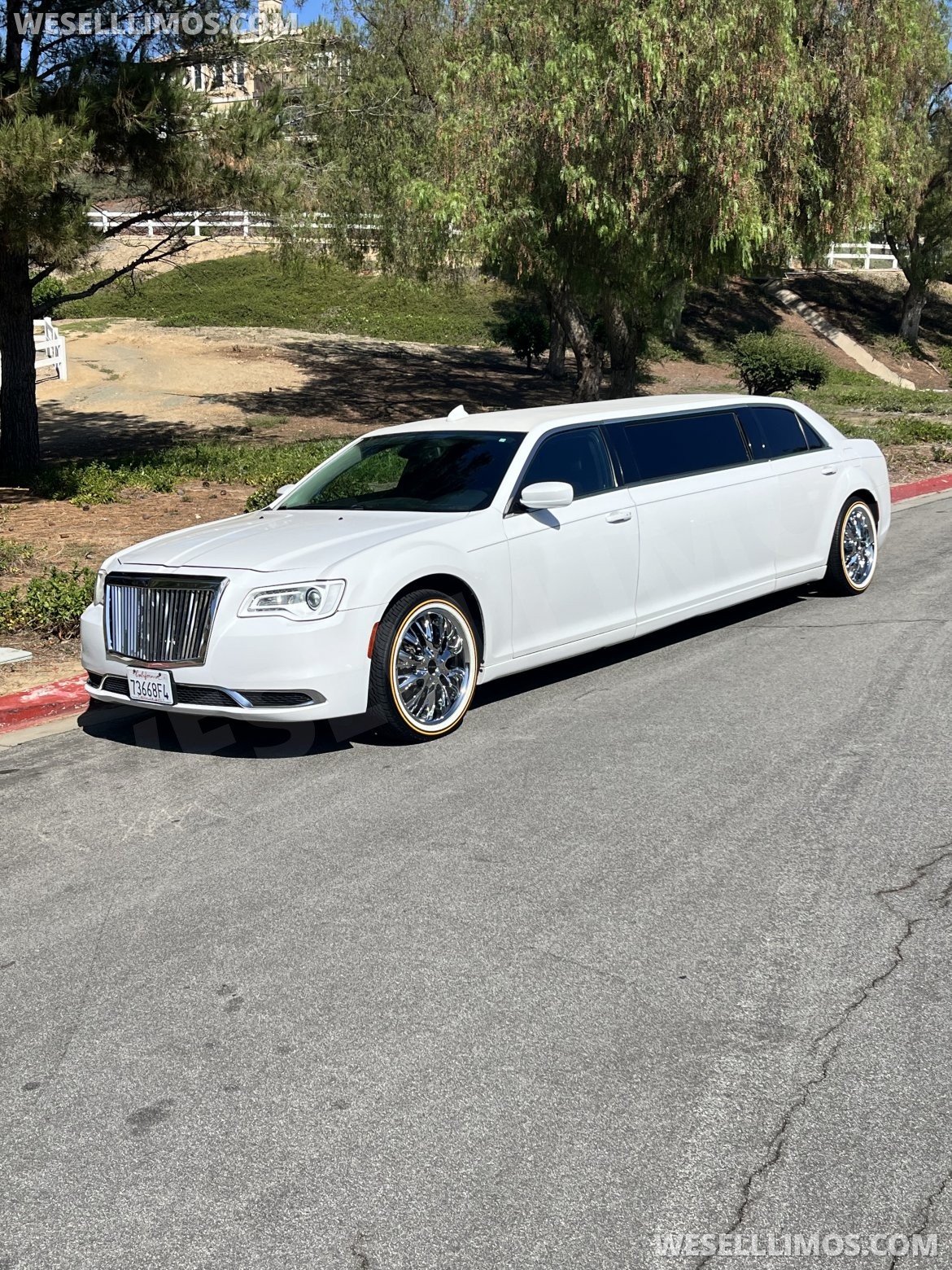 Photo of Limousine for sale: 2019 Chrysler 300 75"
