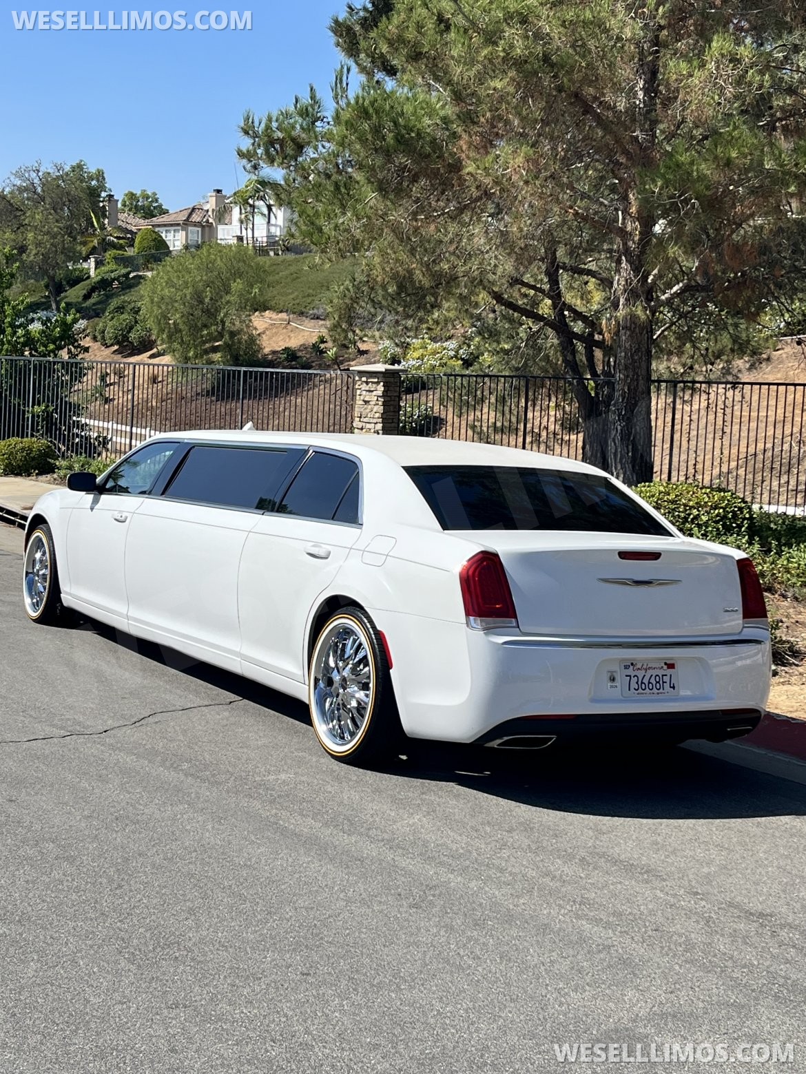 Photo of Limousine for sale: 2019 Chrysler 300 75"