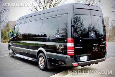 2015 Mercedes-Benz Sprinter Limousine for Sale in Sonoma, California, US - Photo 3