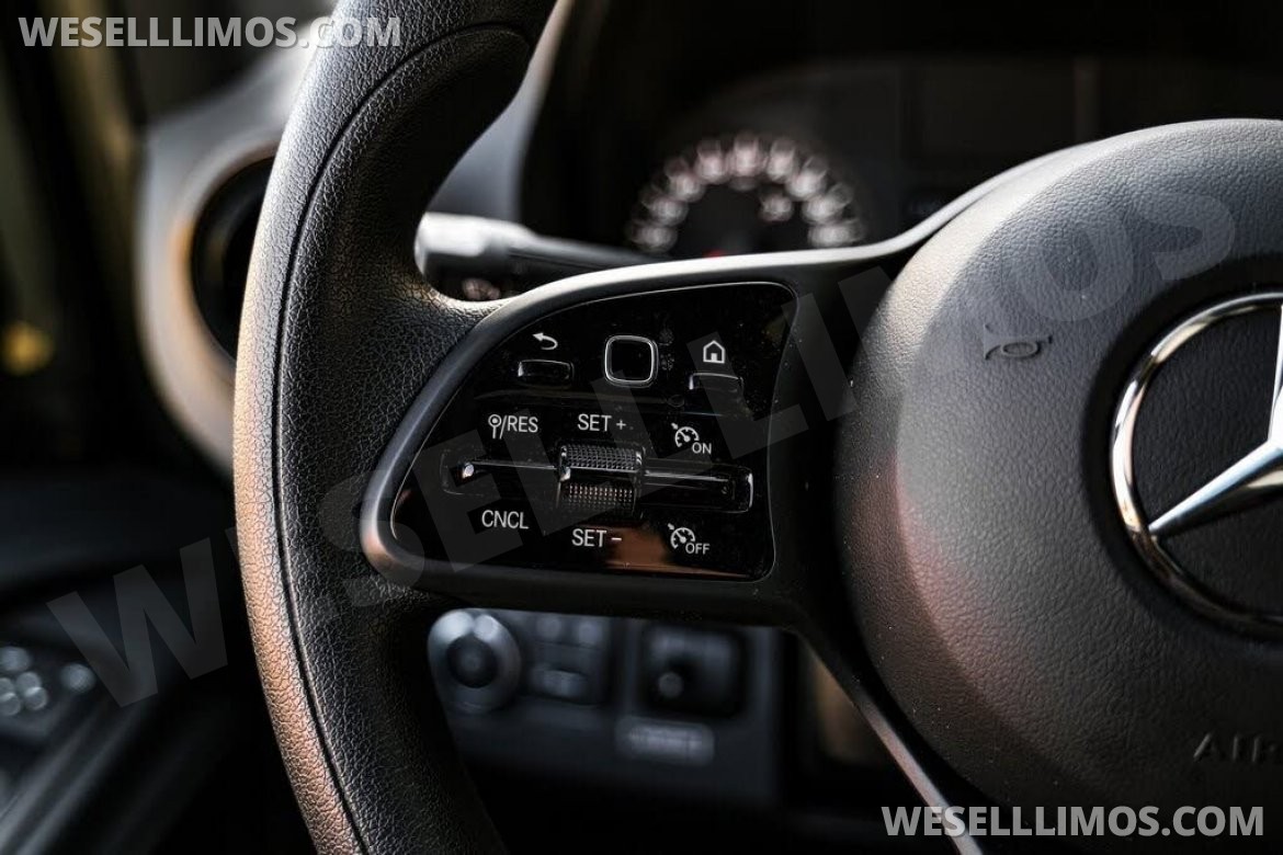 Photo of Sprinter for sale: 2020 Mercedes-Benz LCW Super Family Traveler 12 Passenger Sprinter 290" by LCW