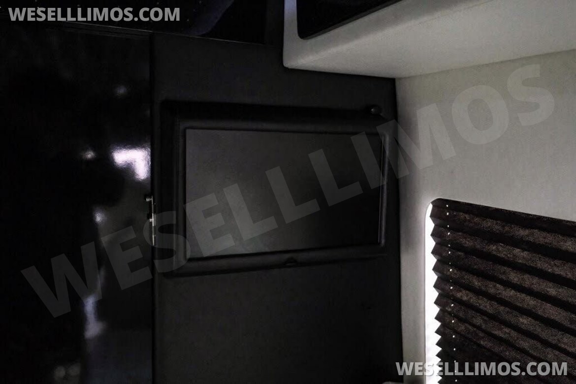 Photo of Sprinter for sale: 2020 Mercedes-Benz LCW Super Family Traveler 12 Passenger Sprinter 290" by LCW