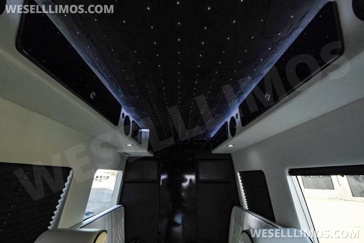 Photo of Sprinter for sale: 2020 Mercedes-Benz LCW Super Family Traveler 12 Passenger Sprinter 290" by LCW