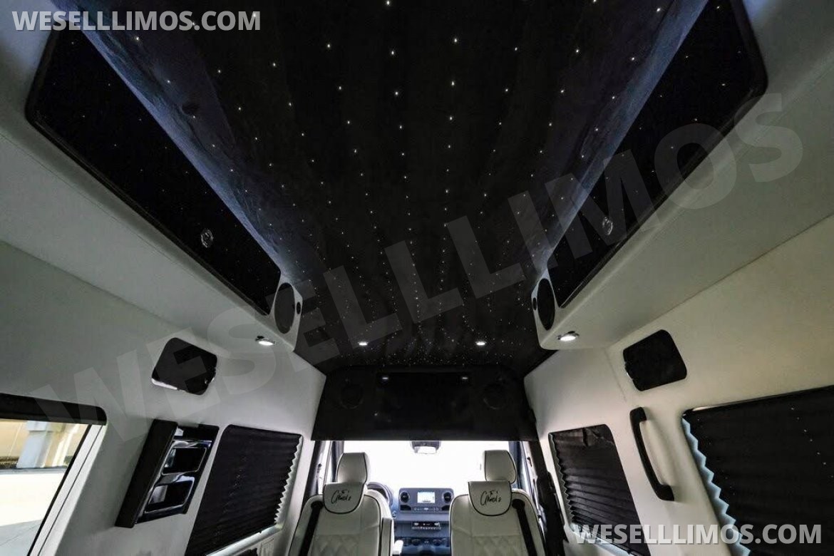 Photo of Sprinter for sale: 2020 Mercedes-Benz LCW Super Family Traveler 12 Passenger Sprinter 290" by LCW