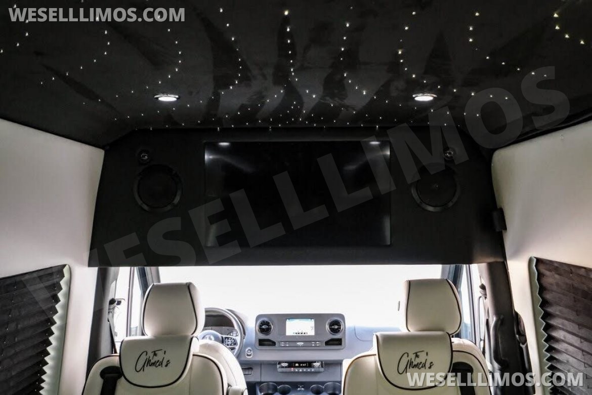 Photo of Sprinter for sale: 2020 Mercedes-Benz LCW Super Family Traveler 12 Passenger Sprinter 290" by LCW