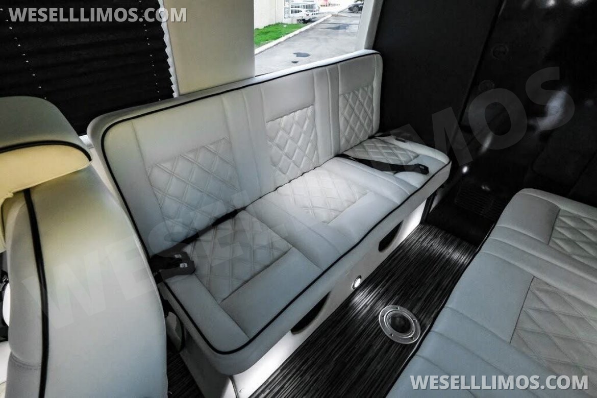Photo of Sprinter for sale: 2020 Mercedes-Benz LCW Super Family Traveler 12 Passenger Sprinter 290" by LCW