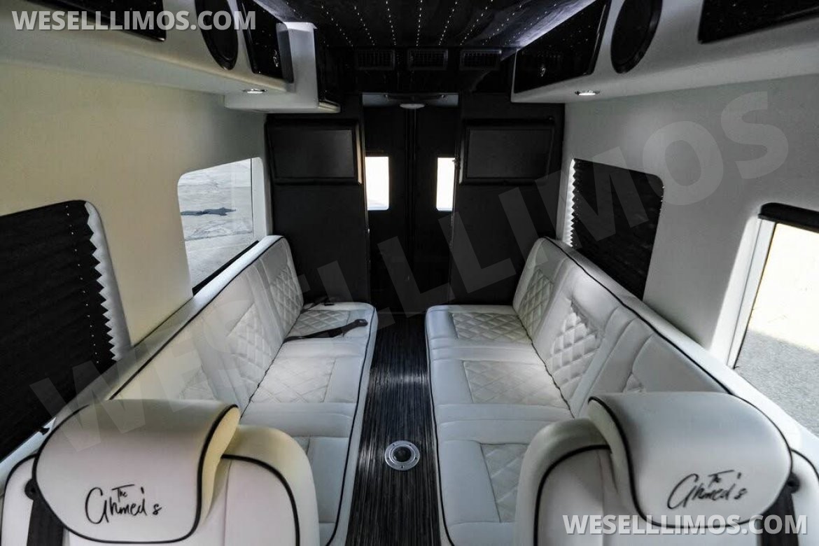 Photo of Sprinter for sale: 2020 Mercedes-Benz LCW Super Family Traveler 12 Passenger Sprinter 290" by LCW