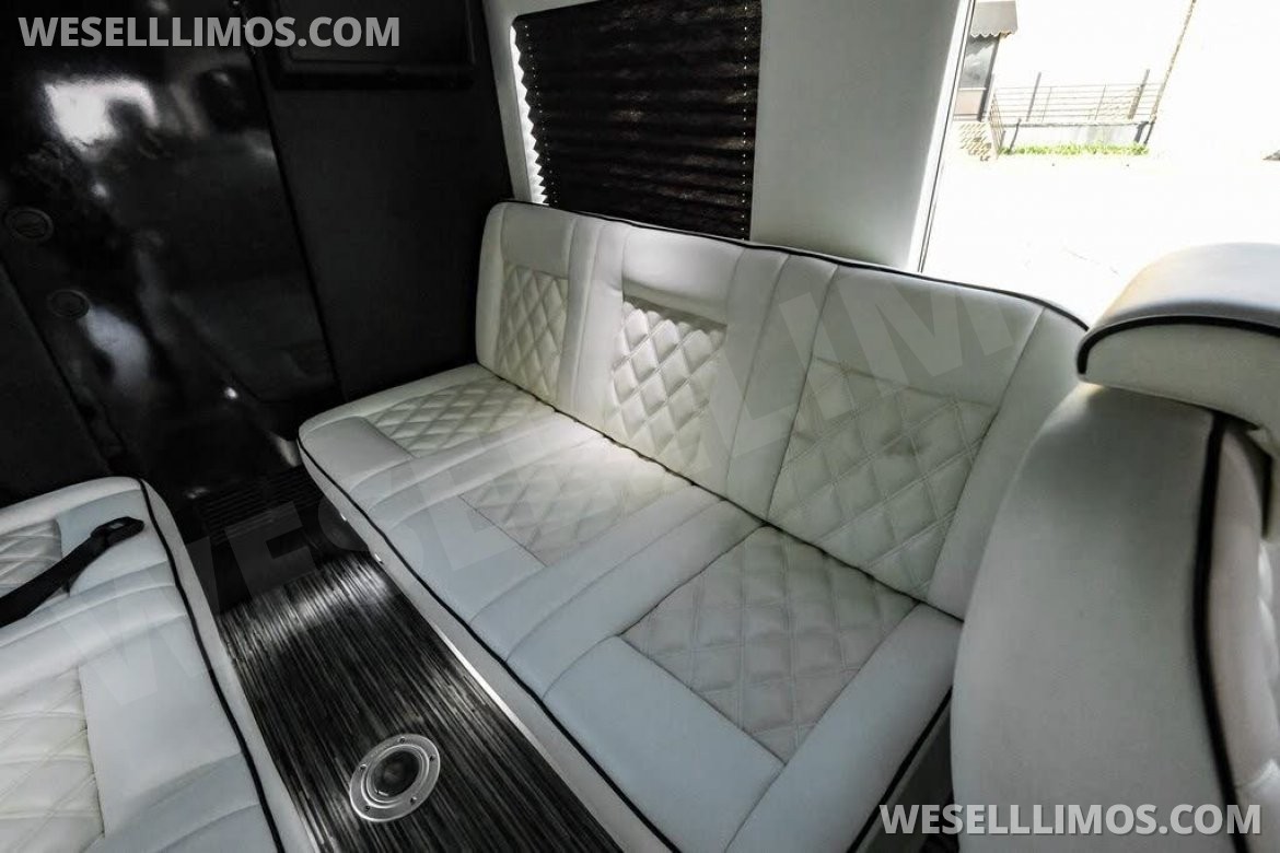 Photo of Sprinter for sale: 2020 Mercedes-Benz LCW Super Family Traveler 12 Passenger Sprinter 290" by LCW