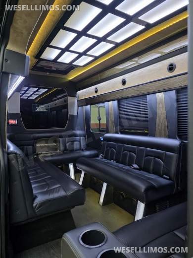 2017 Battisti Customs Ford Transit Limousine by Battisti - Sprinter for Sale in Erie, PA - Photo 4