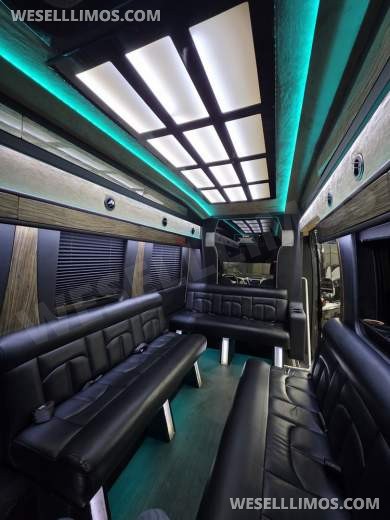 2017 Battisti Customs Ford Transit Limousine by Battisti - Sprinter for Sale in Erie, PA - Photo 7